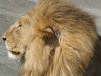 Original reference photo