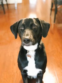 Original reference photo