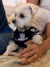 Original reference photo