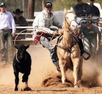 Original reference photo