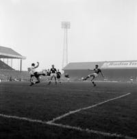 Original reference photo