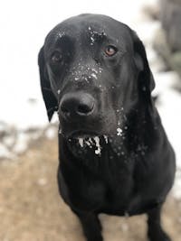 Original reference photo