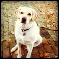 Original reference photo