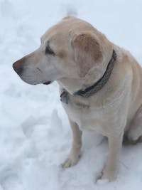 Original reference photo