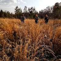 Original reference photo