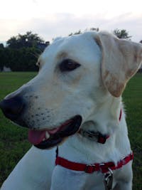 Original reference photo