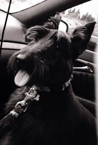 Original reference photo