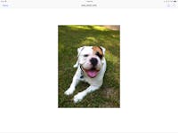 Original reference photo