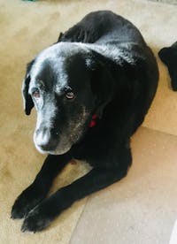 Original reference photo