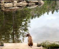 Original reference photo