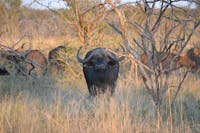 Original reference photo