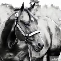 Original reference photo