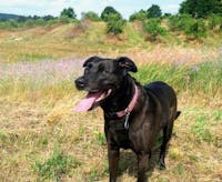 Original reference photo