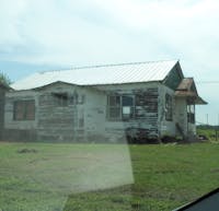 Original reference photo