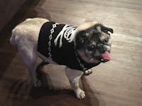 Original reference photo