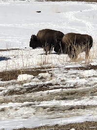 Original reference photo