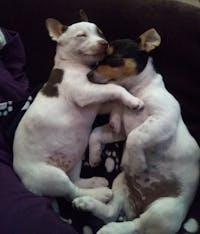 Original reference photo