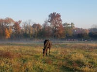 Original reference photo