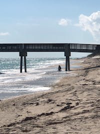 Original reference photo