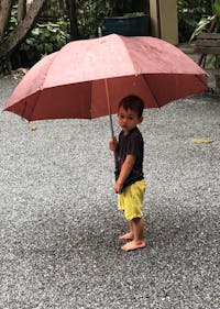 Original reference photo