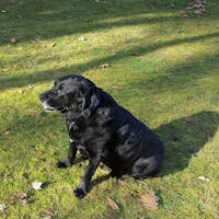 Original reference photo