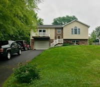 Original reference photo