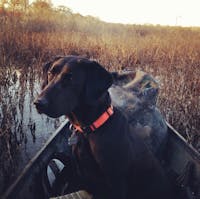 Original reference photo