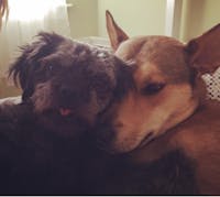 Original reference photo