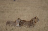 Original reference photo