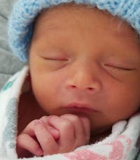 Original reference photo