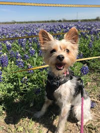 Original reference photo