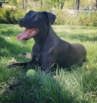 Original reference photo