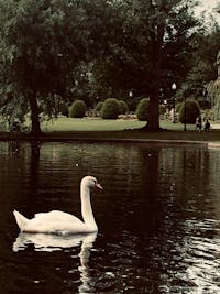 Original reference photo