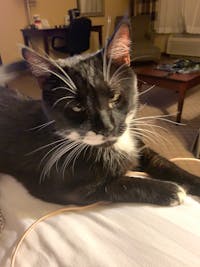 Original reference photo