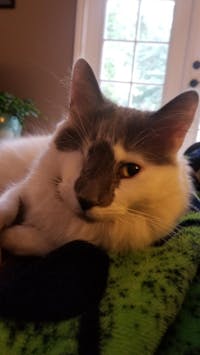 Original reference photo