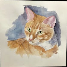 Watercolor portrait painting of a cat