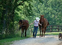 Original reference photo