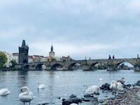 Original reference photo