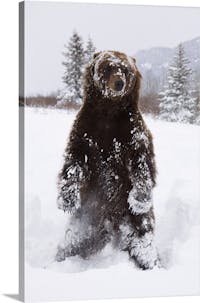 Original reference photo