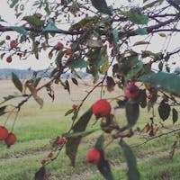 Original reference photo