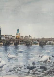 A bunch of swans in a river in a city painted in watercolor