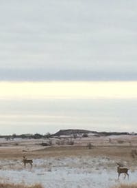 Original reference photo