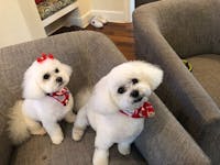 Original reference photo