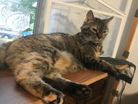 Original reference photo