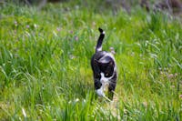 Original reference photo