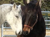 Original reference photo