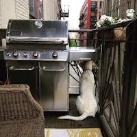 Original reference photo