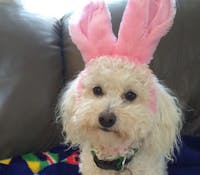 Original reference photo