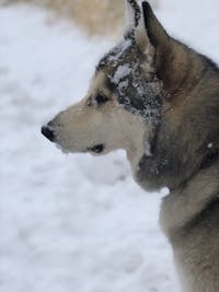 Original reference photo