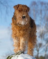 Original reference photo